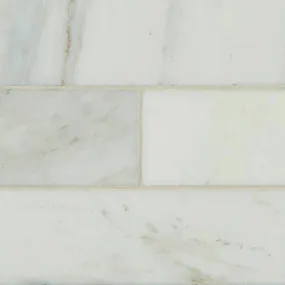 Marble Tile Collection Arabescato Carrara 4"x12" Honed