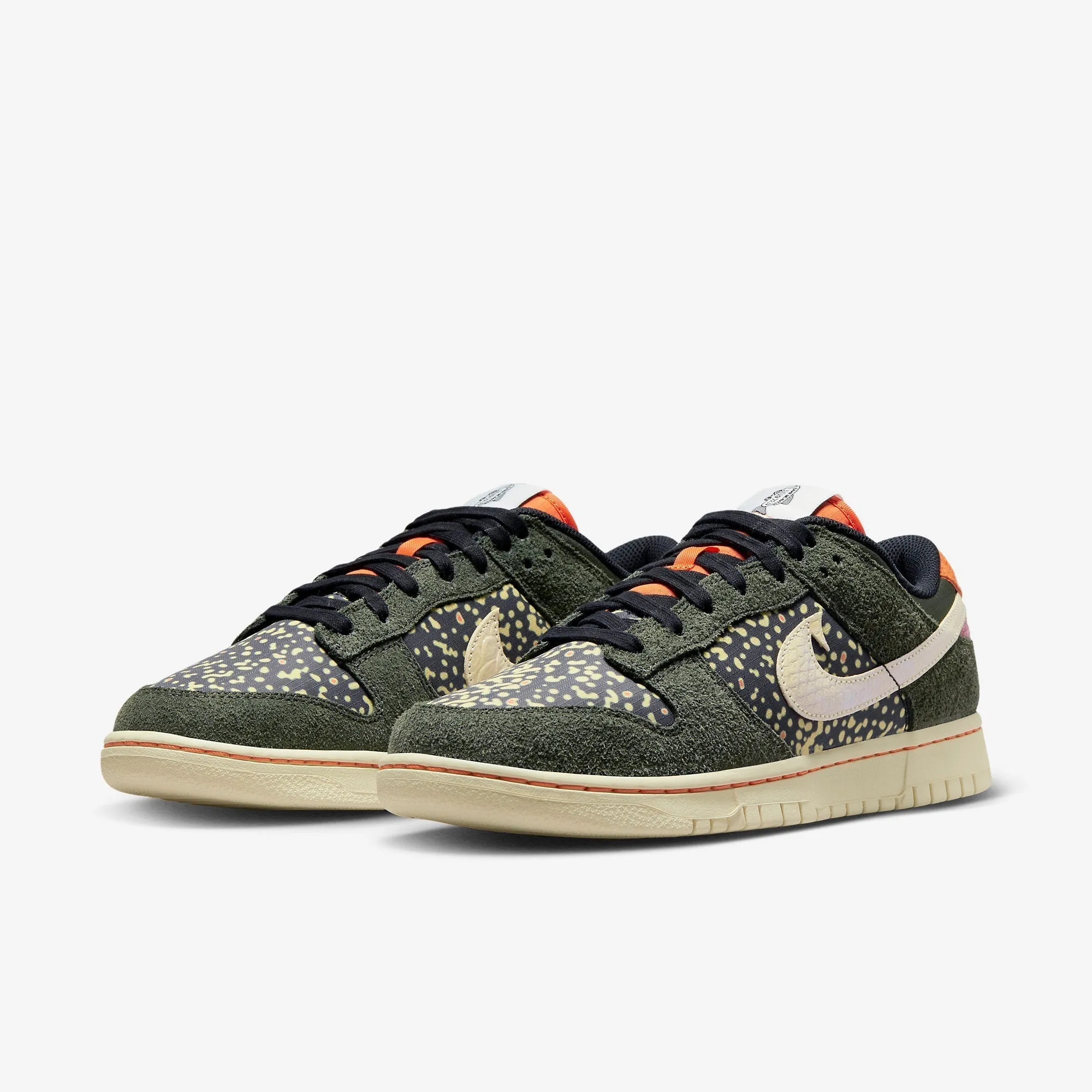 (Men's) Nike Dunk Low Retro SE 2 'Gone Fishing / Rainbow Trout' (2023) FN7523-300