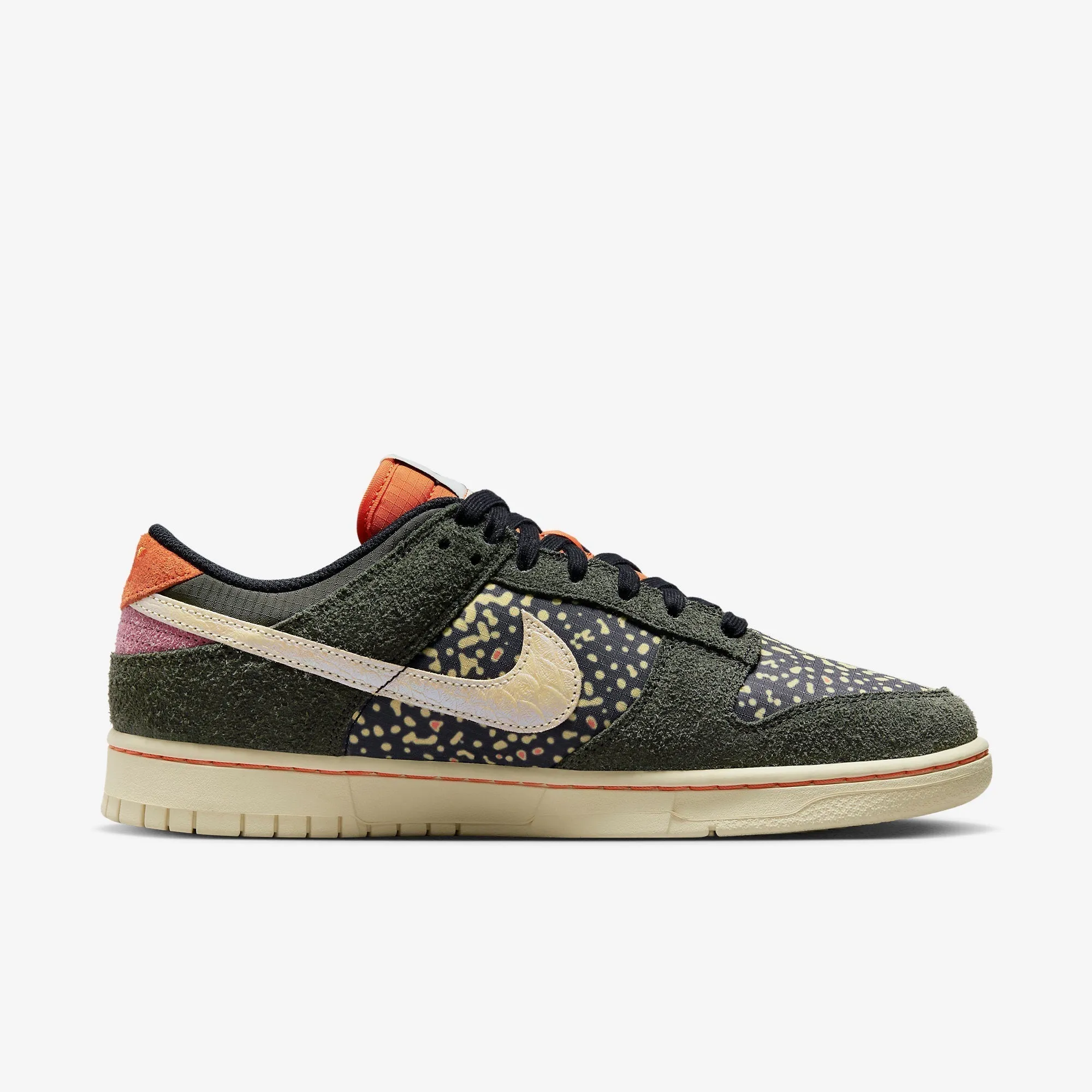 (Men's) Nike Dunk Low Retro SE 2 'Gone Fishing / Rainbow Trout' (2023) FN7523-300