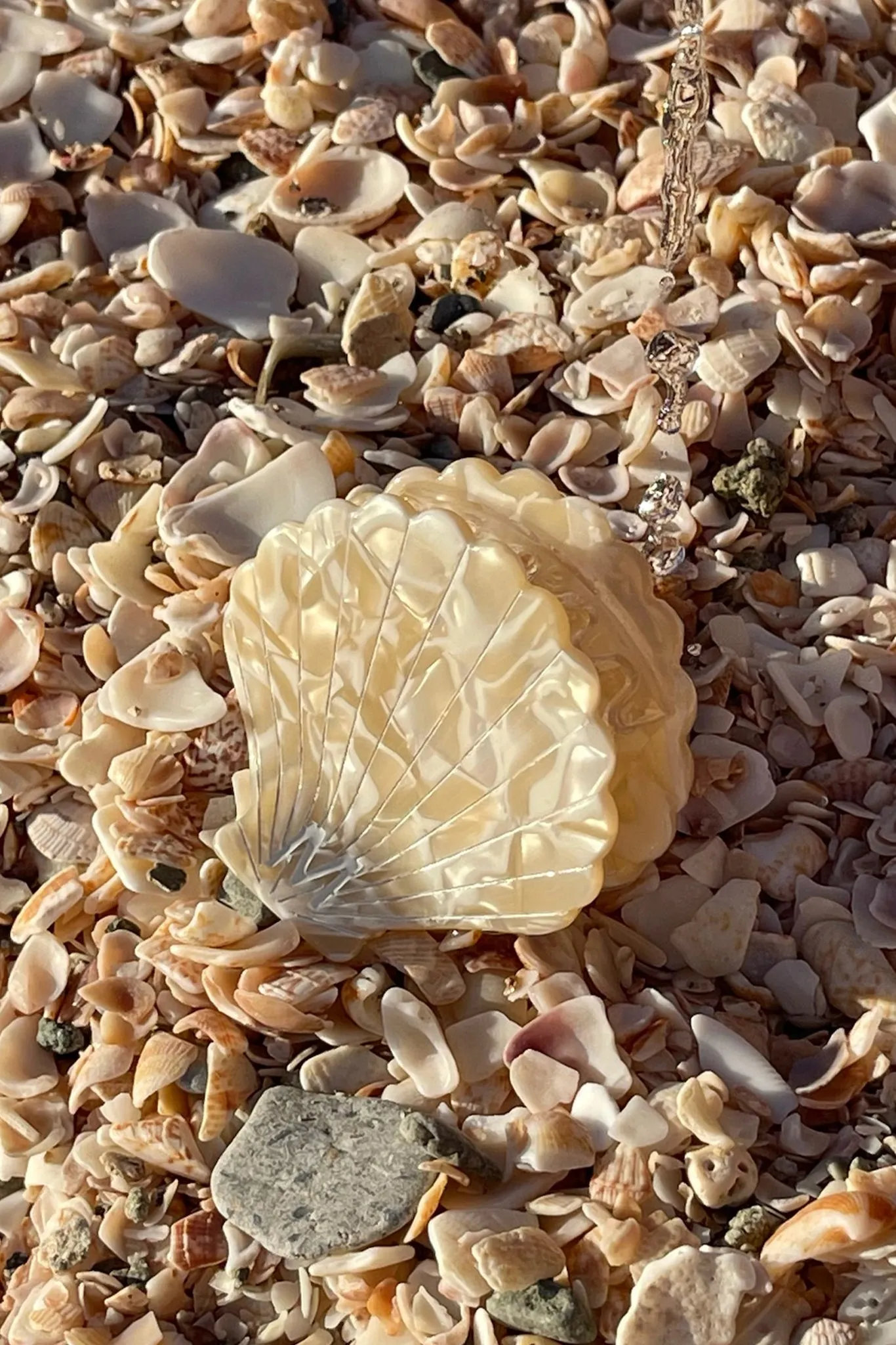 Sanibel Shell Hair Clip - Ivory Swirl